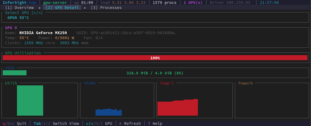 InferSight GPU Detail